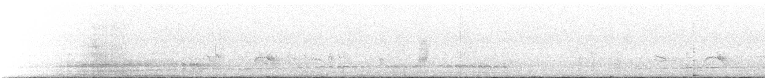 Magellanic Snipe - ML646239036