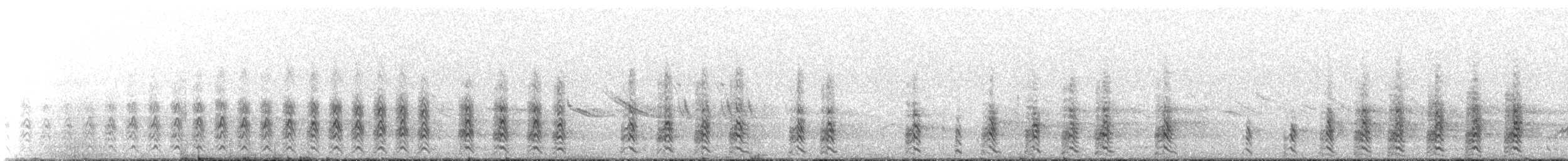 Magellanic Snipe - ML646239037