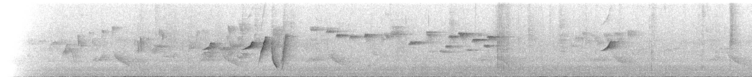 Silbador Dorado - ML646239040