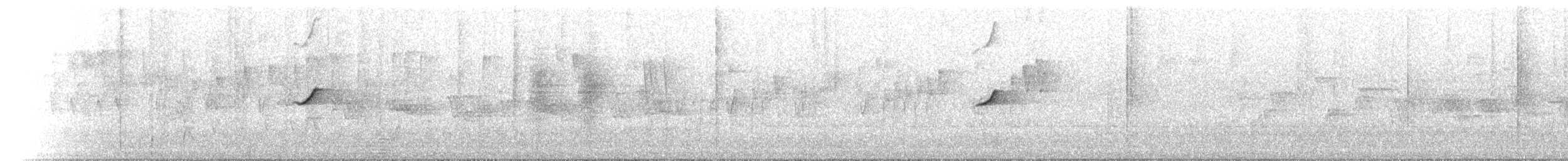 Silbador Dorado - ML646239043