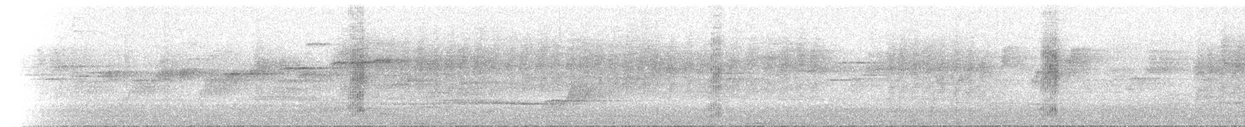 Australian Spectacled Monarch - ML646239112