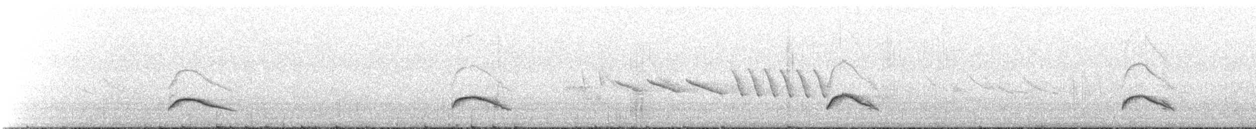 White-crested Elaenia (Chilean) - ML646239385