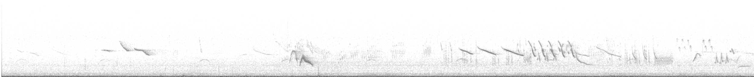 White-crested Elaenia (Chilean) - ML646239386