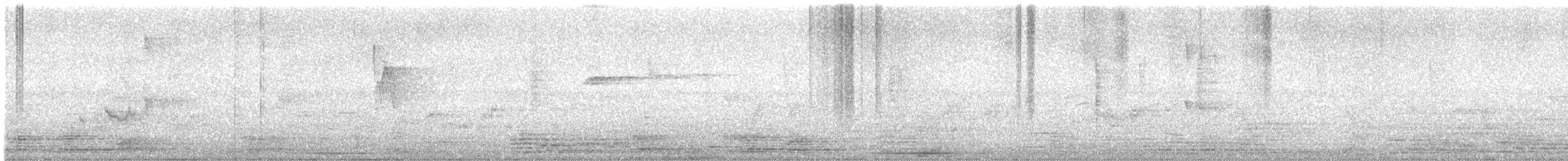 עלווית בלטית - ML646239625