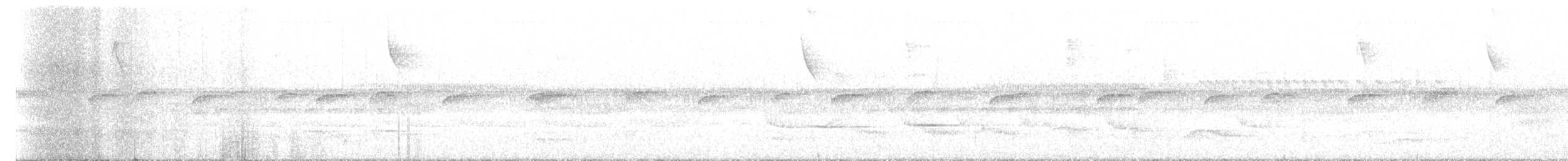 Striped Cuckoo - ML646239724