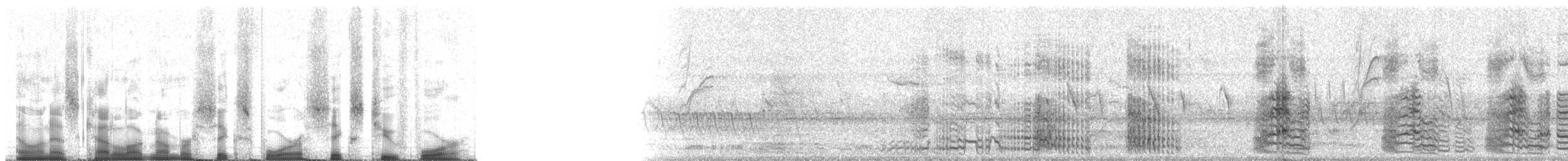 Yellow-crowned Amazon - ML64624