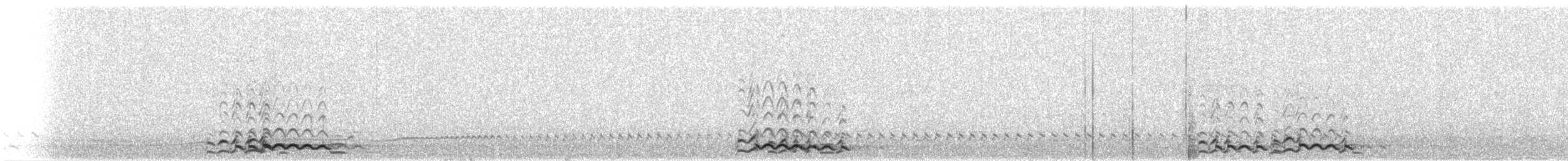 Strolaga maggiore - ML646240165