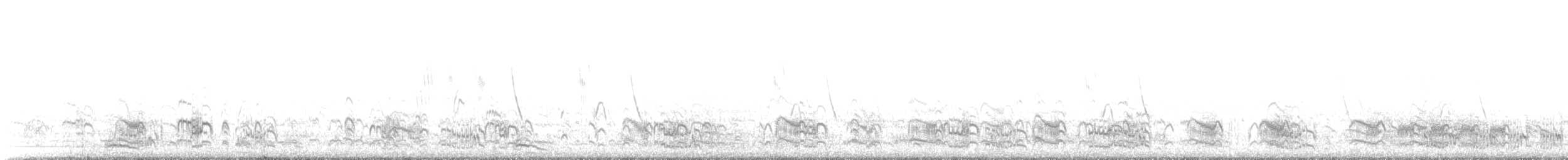 South American Tern - ML646240190