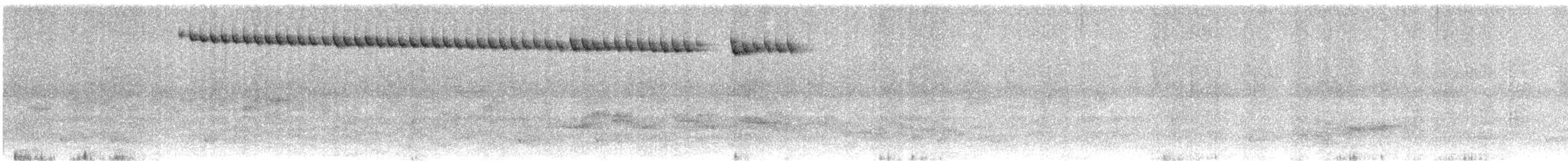 Gilded Hummingbird - ML646240319