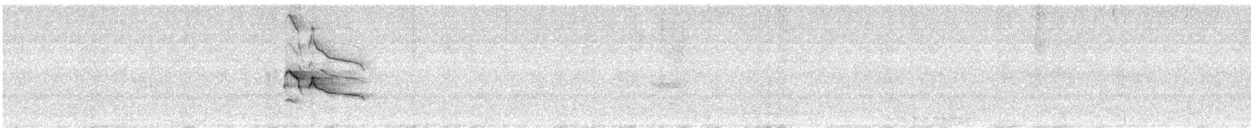 Plumbeous Kite - ML646240338