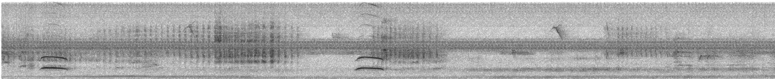 Swainson's Flycatcher - ML646240445