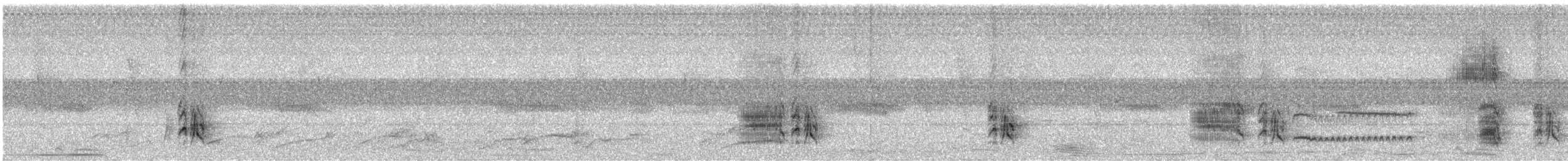 Swainson's Flycatcher - ML646240446