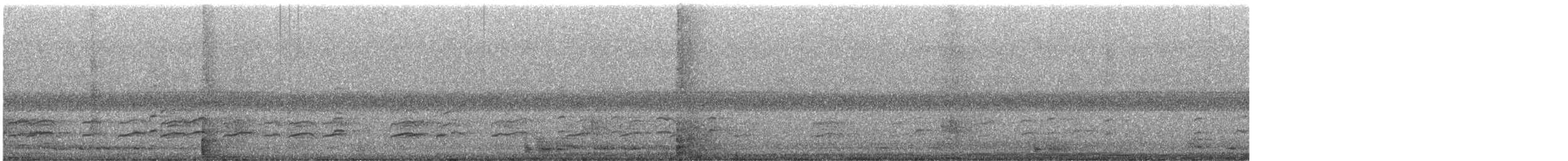 Black-winged Stilt - ML646240980