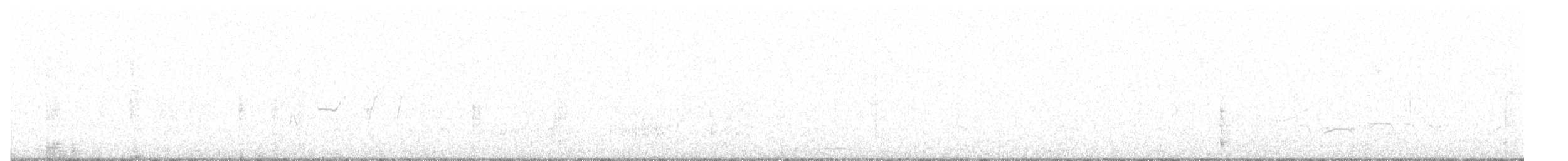 Black-bellied Whistling-Duck - ML646241284