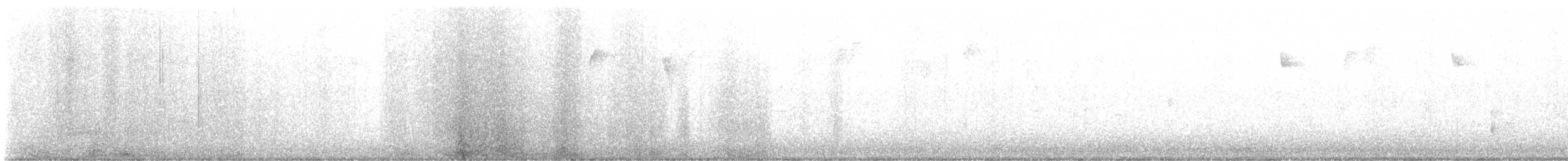 フトオハチドリ - ML646241408