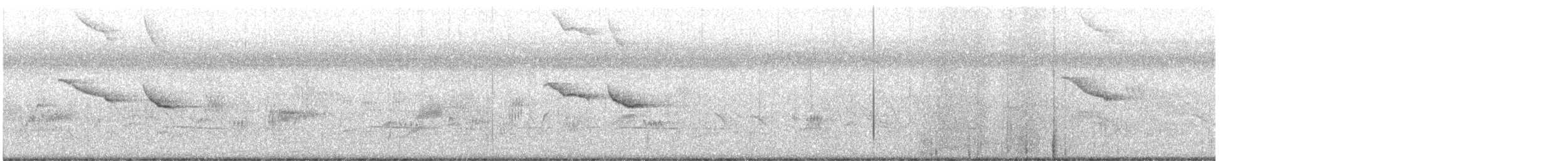 Oriental Magpie-Robin - ML646241559