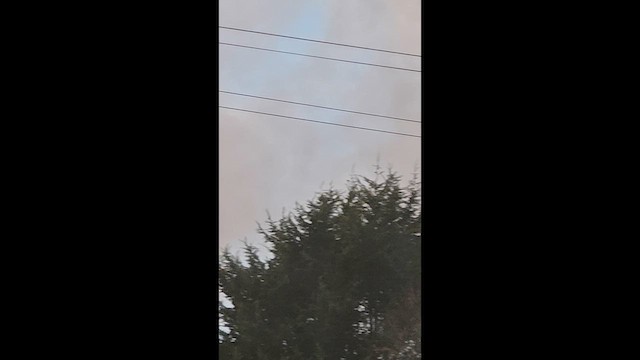 דררה - ML646241569