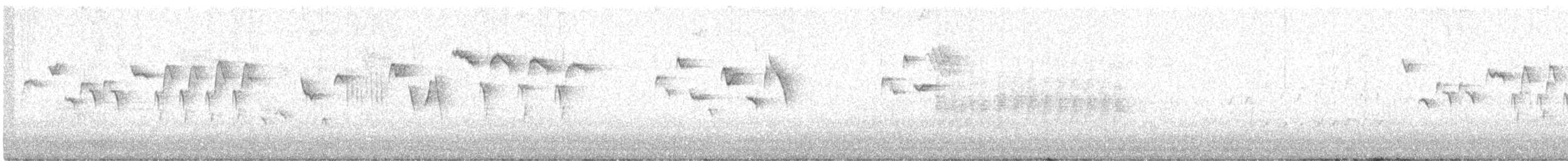 鷦鷯 - ML646242243