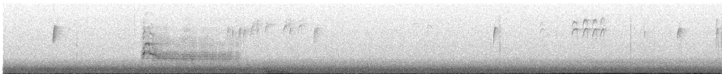 Red-tailed Hawk - ML646242525