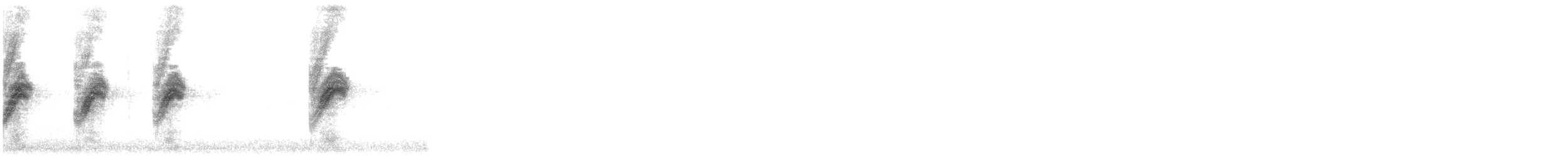 Chingolo Cantor - ML646242725