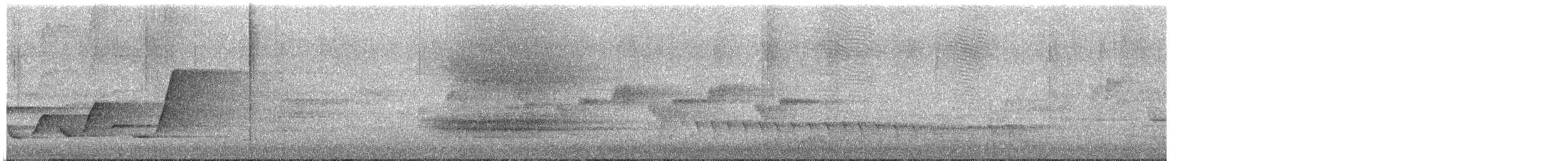 Victoria's Riflebird - ML646242967