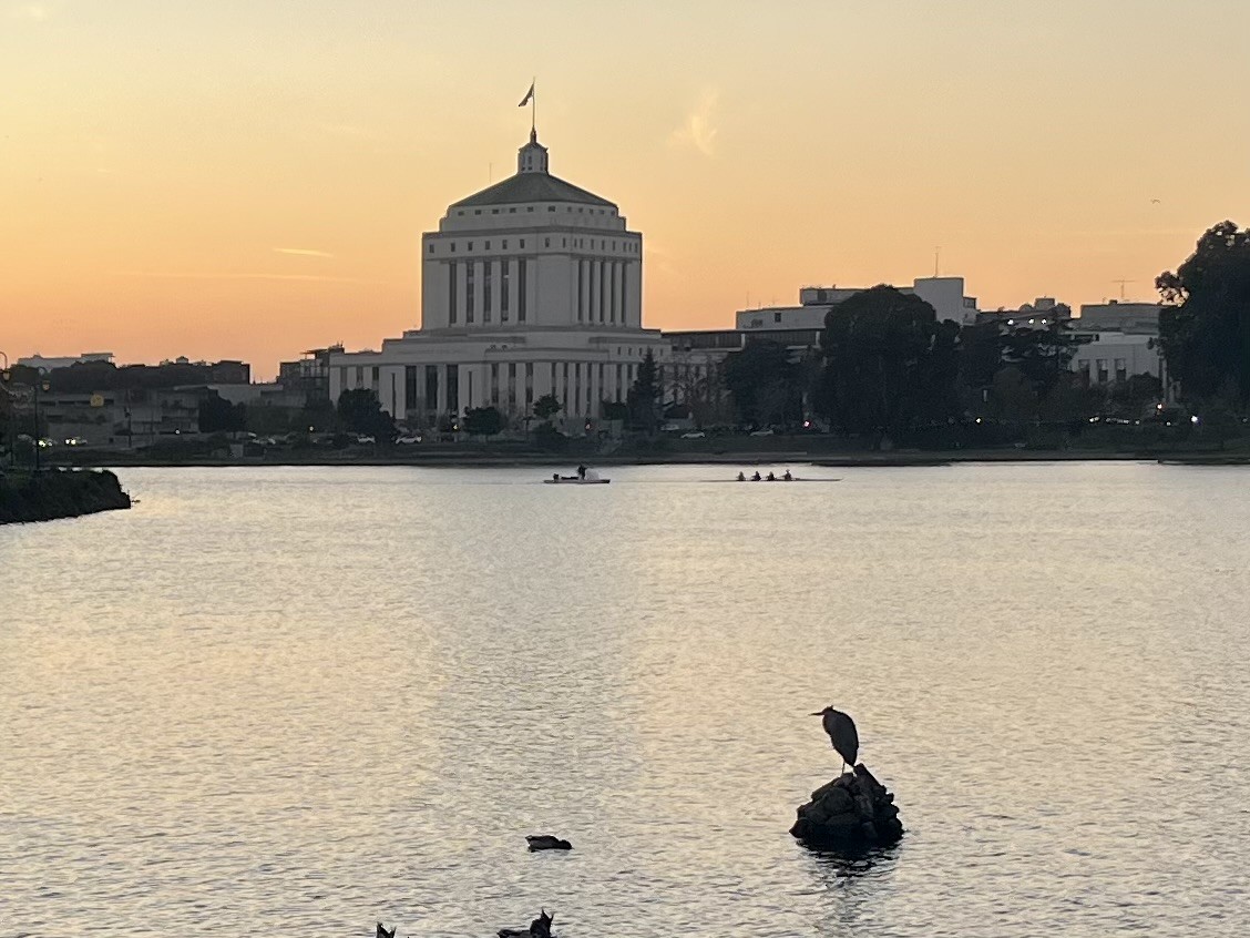 Great Blue Heron - ML646243053