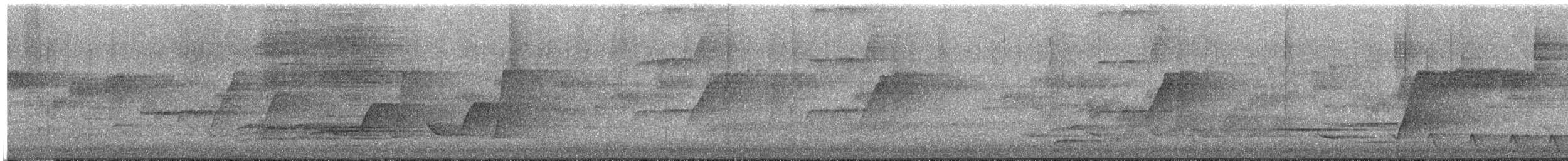 Spotted Catbird - ML646243475