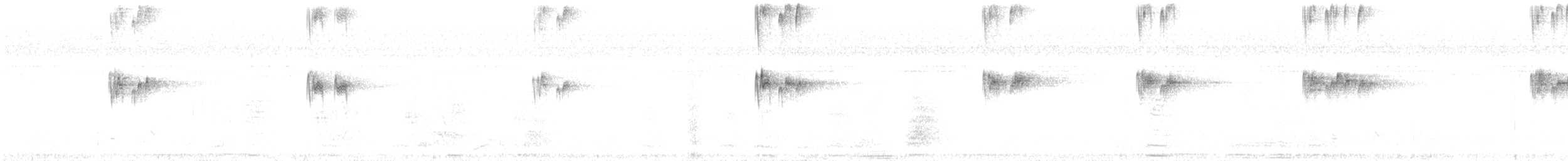 Tropical Kingbird - ML646243592