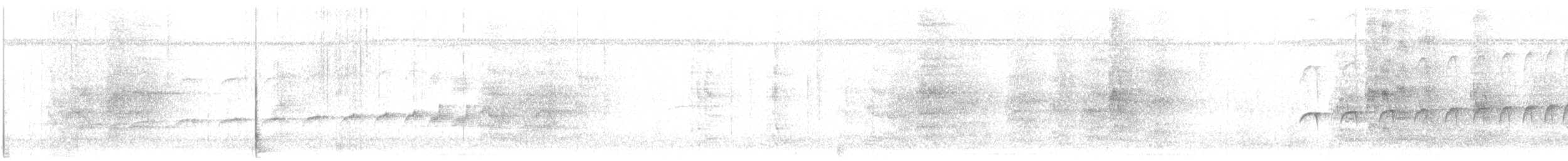 Band-tailed Antbird - ML646243625