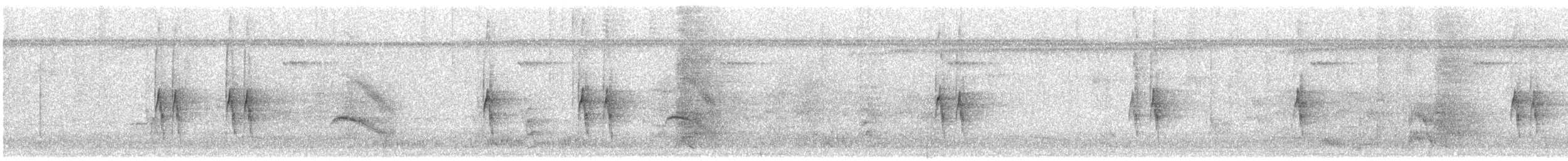 Band-tailed Antbird - ML646243647