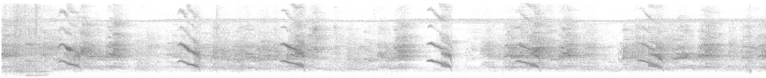 Band-tailed Antbird - ML646243734