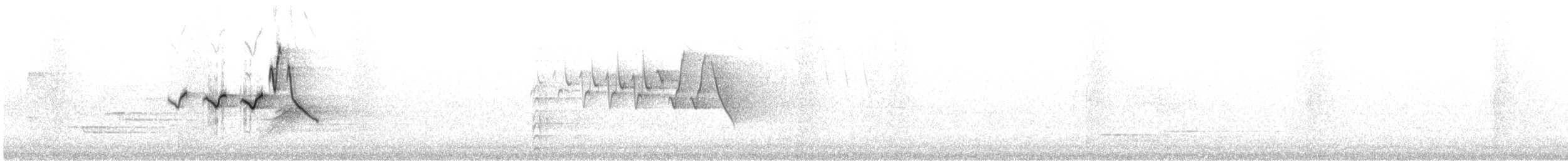 lesňáček kápový - ML646244037