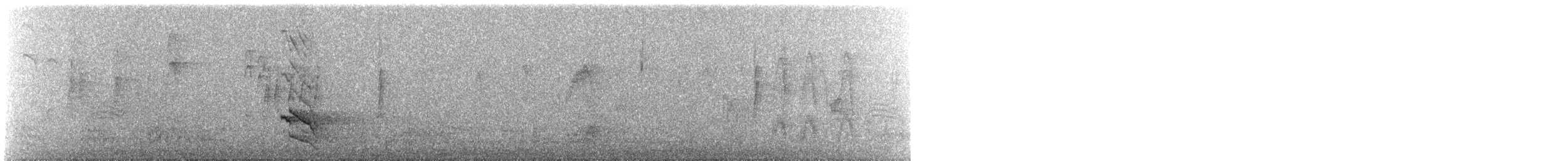 Pic flamboyant - ML646245588