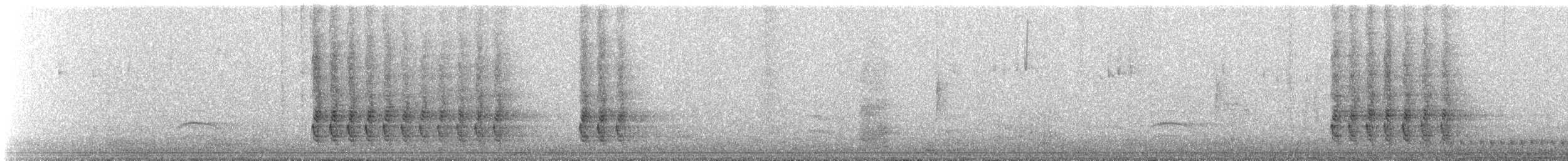 Geai de Steller - ML646245596