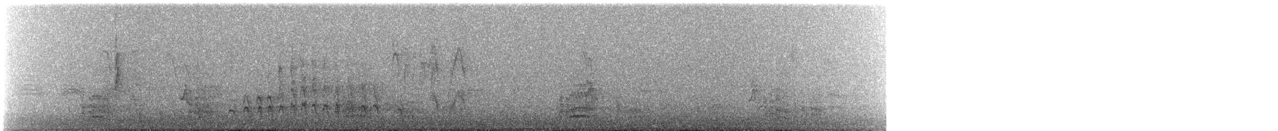 Merle d'Amérique - ML646245608