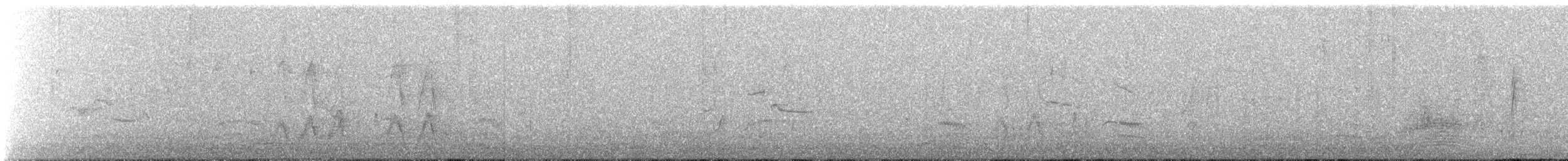 Merle d'Amérique - ML646245609