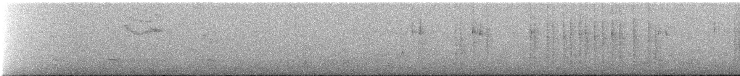 Tohi tacheté - ML646245630