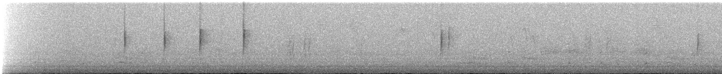 Paruline à croupion jaune - ML646245638