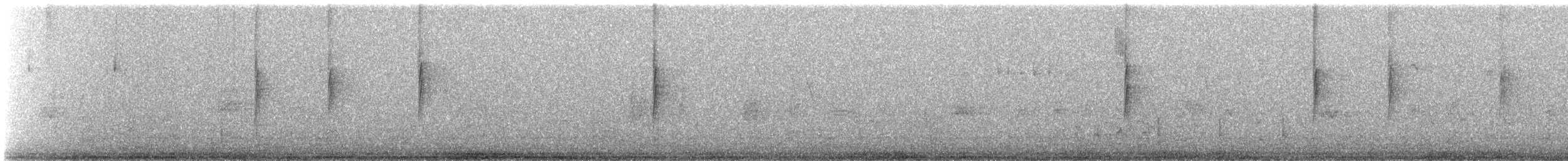 Paruline à croupion jaune - ML646245639