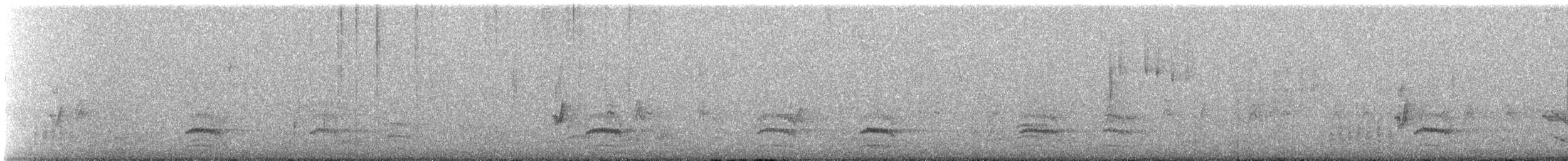 Sittelle à poitrine blanche - ML646245760