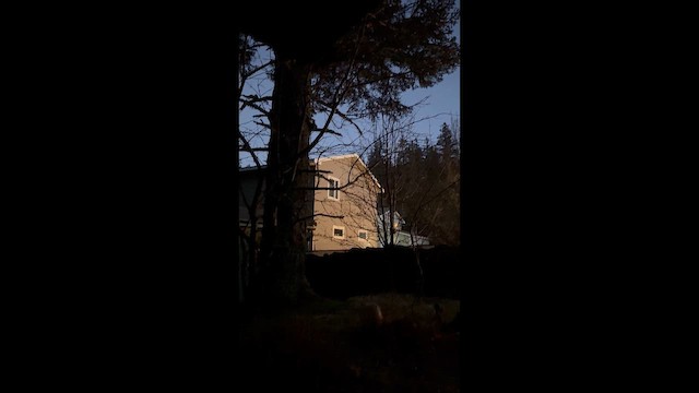 alkoun mramorovaný - ML646245774