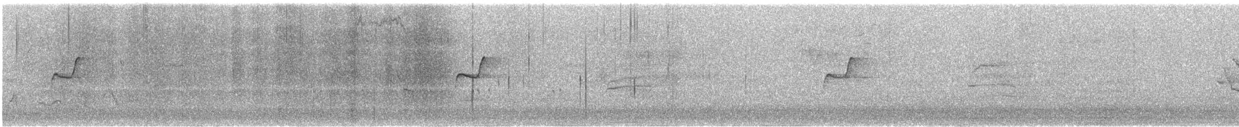 Western Flycatcher (Pacific-slope) - ML646246078
