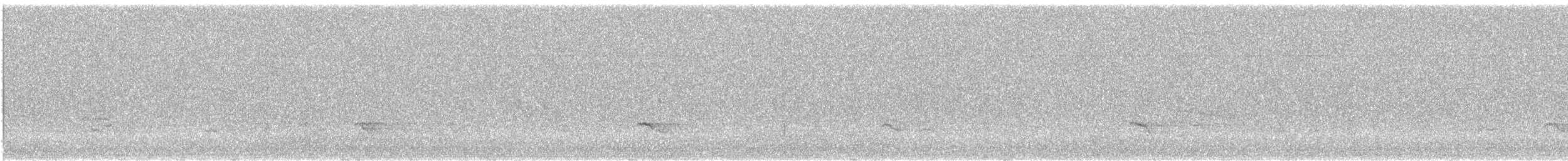 passerine sp. - ML646246747