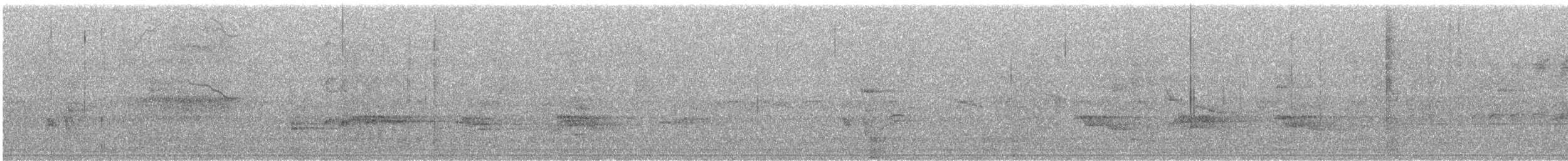 Merle d'Amérique - ML646246773