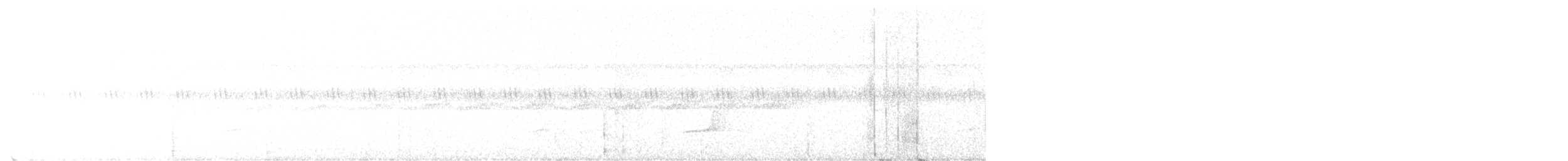 Gray-bellied Antbird - ML646246897