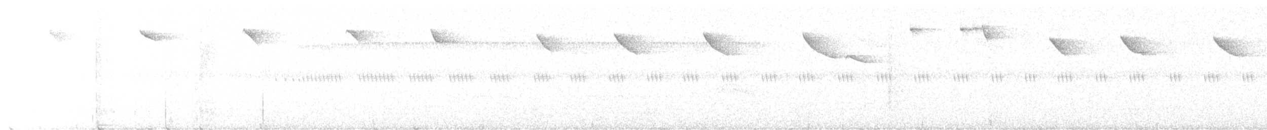 kolibřík malý - ML646246909