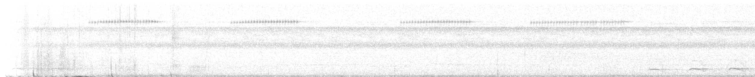 trogon černohrdlý - ML646247052