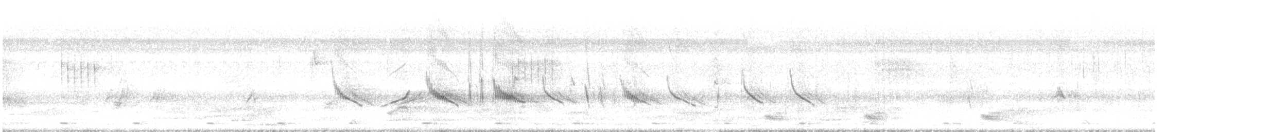 Black Drongo - ML646247601