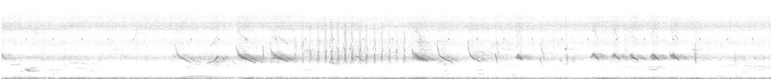 Black Drongo - ML646247602