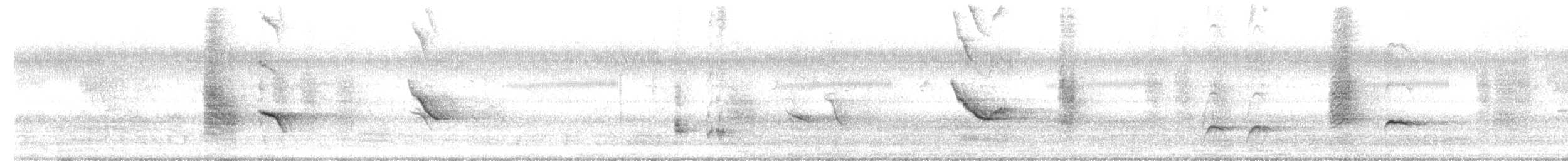 Jerdon's Leafbird - ML646247651